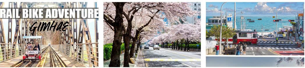http://www.luhanhhanoi.com.vn/upload/images/busan-seoul-hoa-anh-dao1.jpg