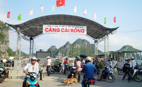 cang cai rong