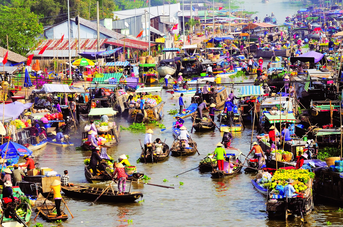 cho noi cai rang