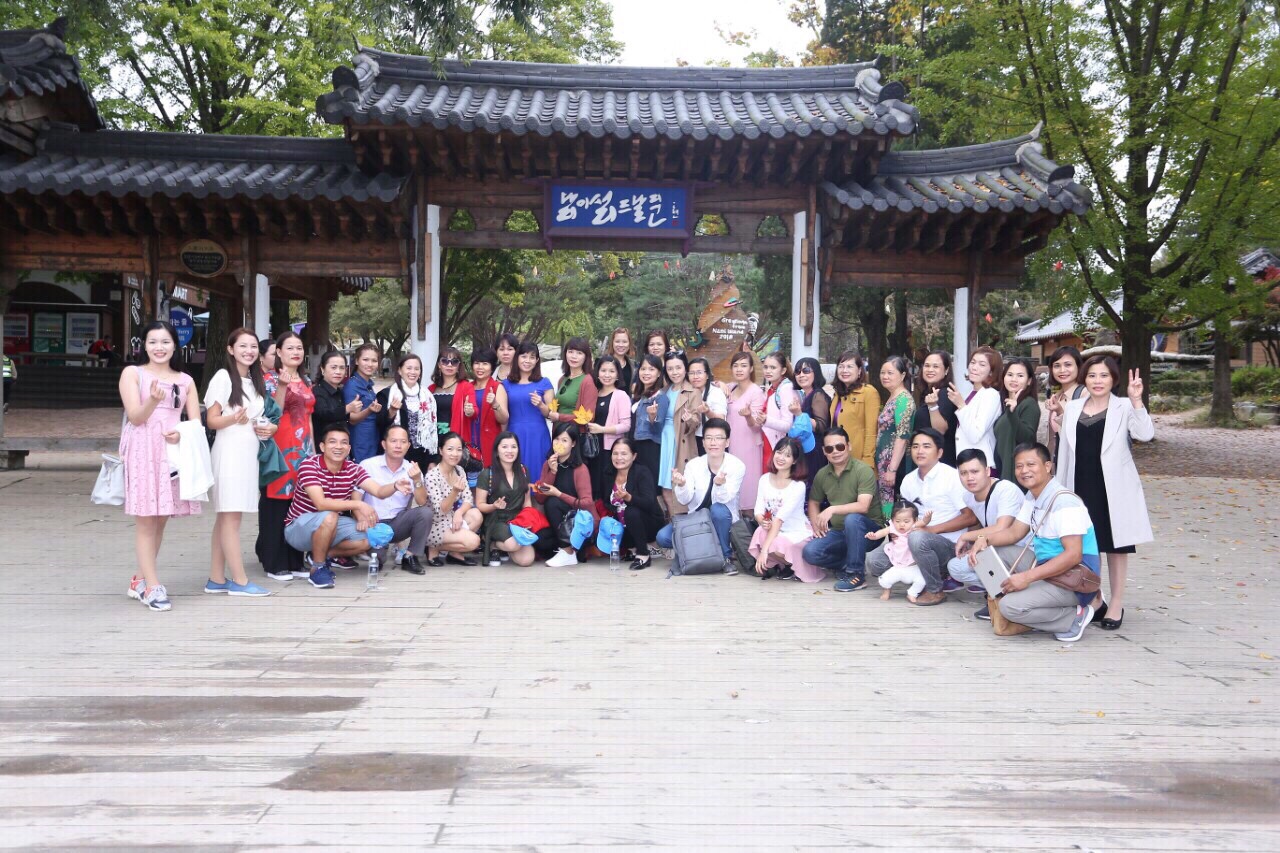 doan han quoc aotomy