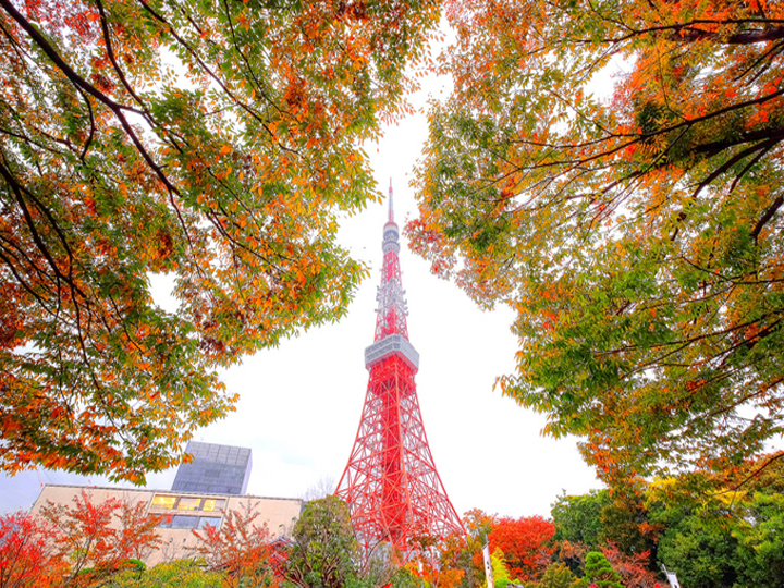 dulichnhatbanosaka-kyoto-nagoya-fuji-tokyo-disneyland3.jpg