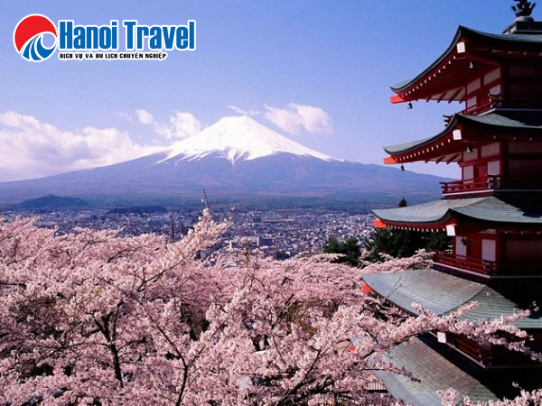 Du lịch Nhật Bản 4 Ngày: Tokyo - Núi Phú Sĩ Bay Vietnam Airlines