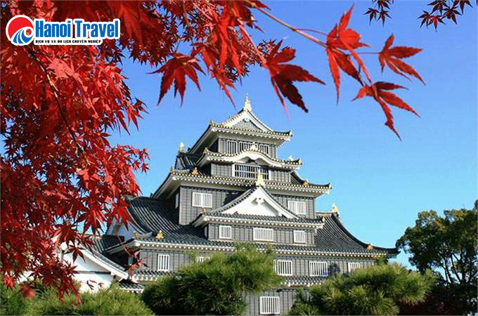 Du lịch Nhật Bản 6 Ngày: Khám Phá Mùa Lá Đỏ Bay VN