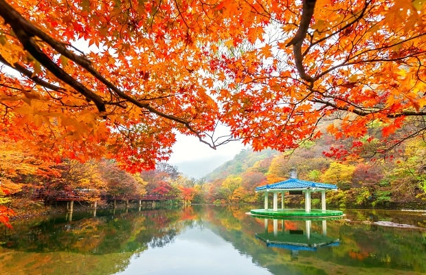 Du Lịch Hàn Quốc 5N: Seoul - Nami - Namsan - Everland Bay VN