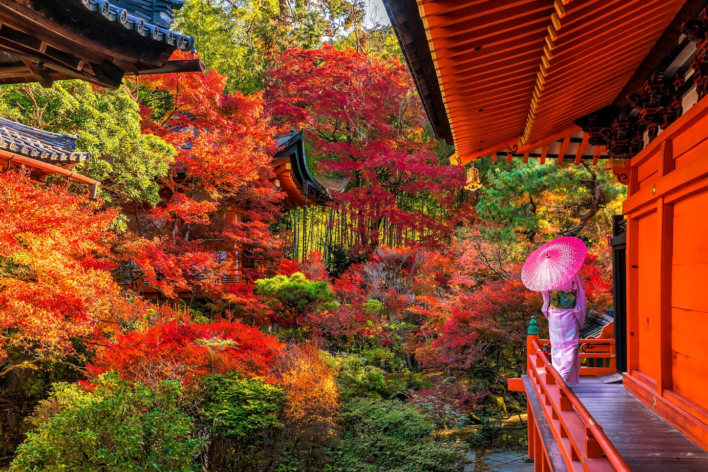 Du lịch Nhật Bản 6 Ngày: Osaka - Kobe - Kyoto - Nagoya - Tokyo  Bay Vietjet 2026